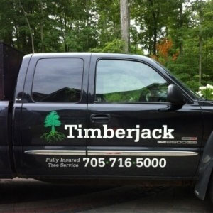 timberjack tree service meaford