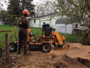 stump grinding meaford