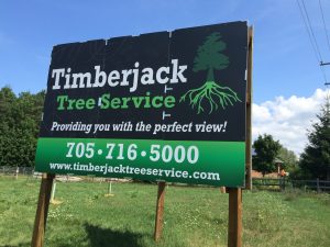 timberjack tree service