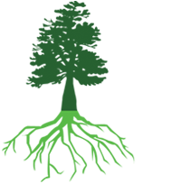 Timberjack Tree Service